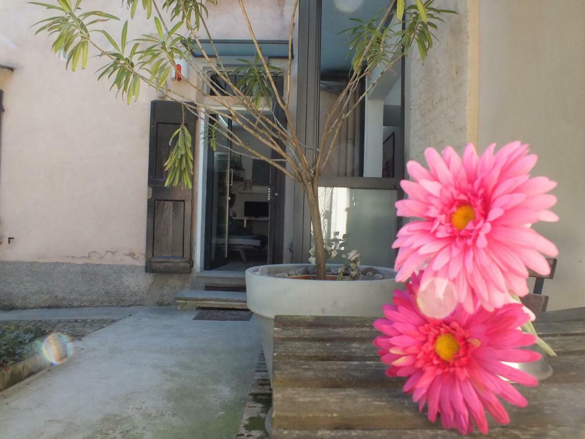 דירות Loft Garden In Bologna'S Heart Ospedale Rizzoli מראה חיצוני תמונה